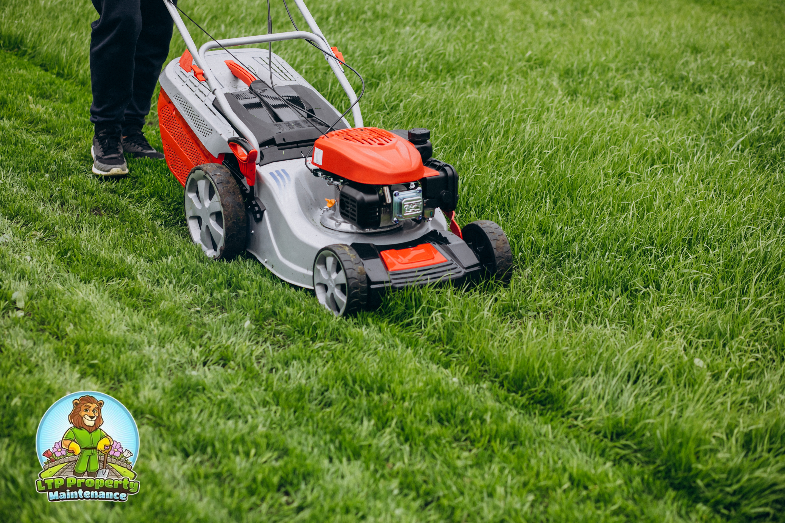 Lawn Care Basics: How to Get Started